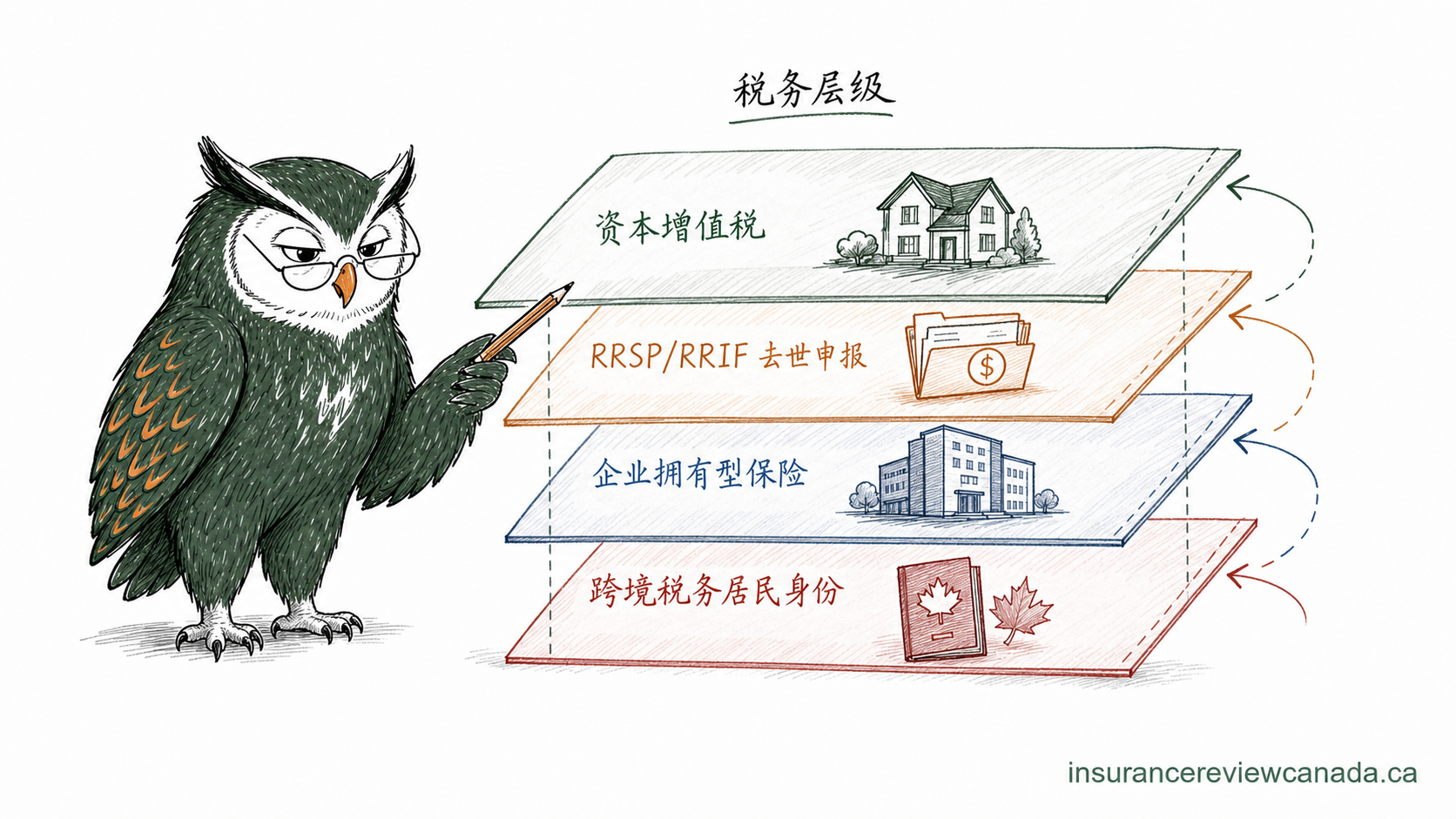 手绘猫头鹰展示加拿大家庭身故时可能触发的税务层级,画面标注资本增值税 / RRSP-RRIF 申报 / 企业拥有型保险 / 跨境税务居民身份